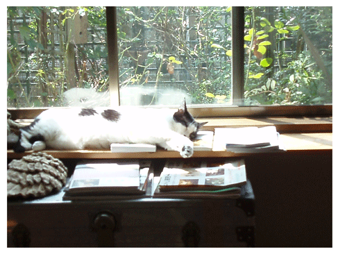 c0129702_2125191.gif