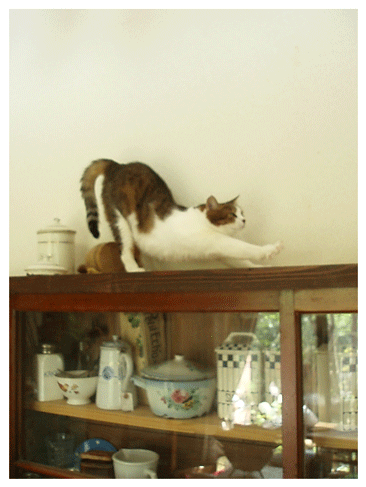 c0129702_213449.gif
