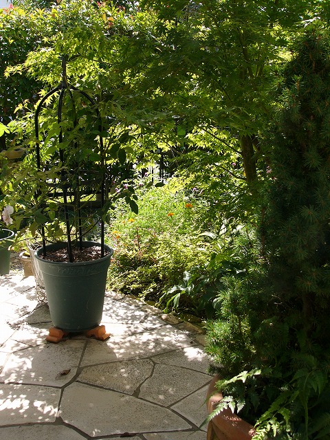a0123003_938572.jpg