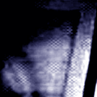 e0103408_13145280.gif
