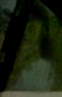 e0103408_1341478.gif