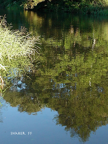 f0021008_11144554.jpg
