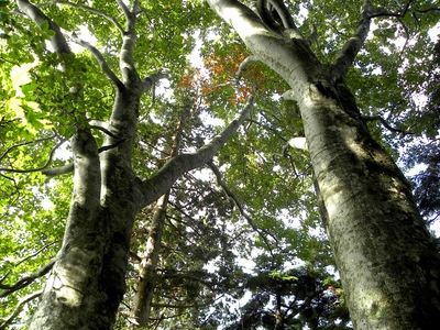 c0078410_22412838.jpg