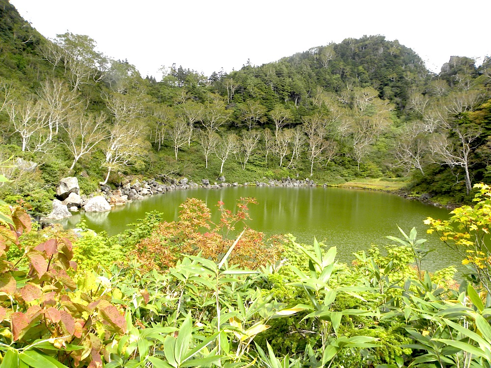 c0078410_2303066.jpg