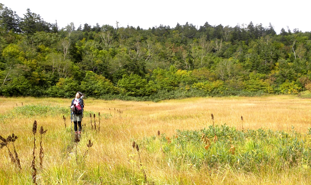 c0078410_2322550.jpg
