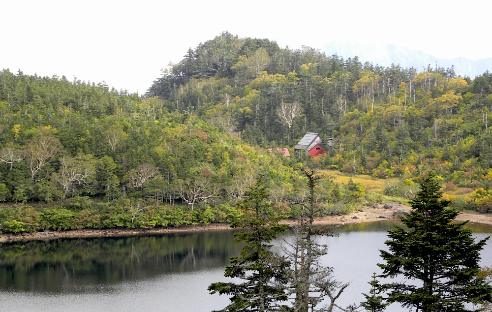 c0078410_238632.jpg