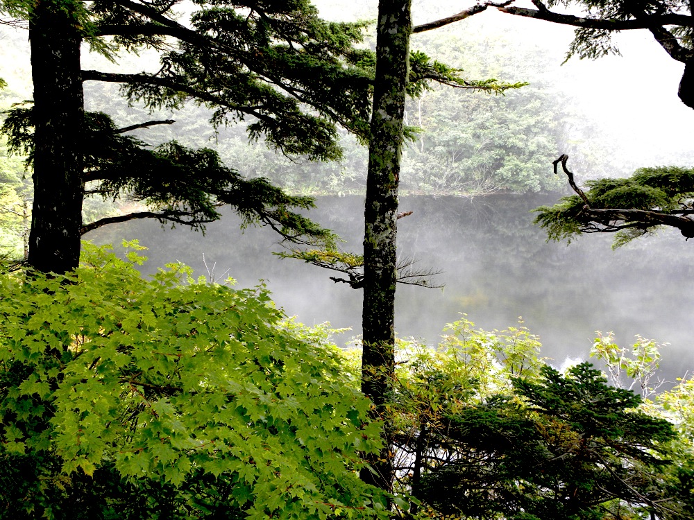 c0078410_2391268.jpg
