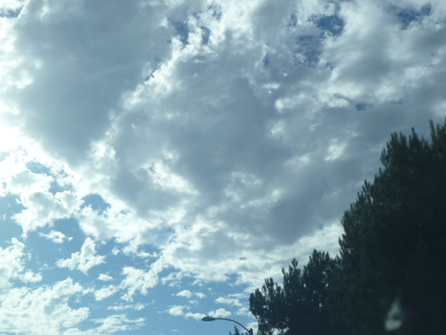 a0144811_1472582.jpg