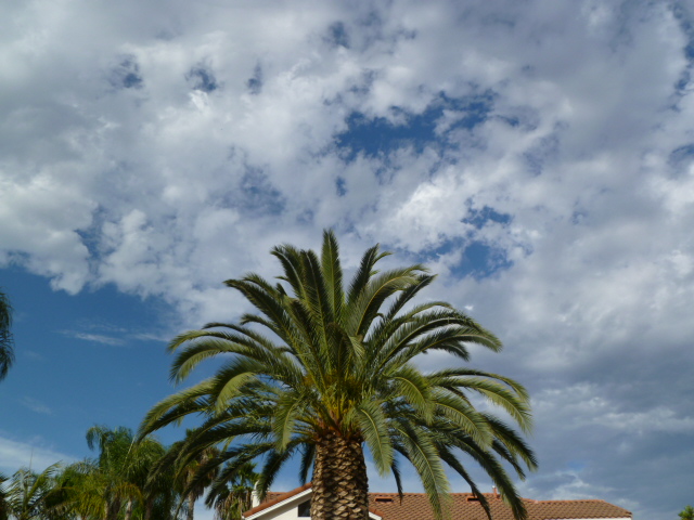 a0144811_1473385.jpg