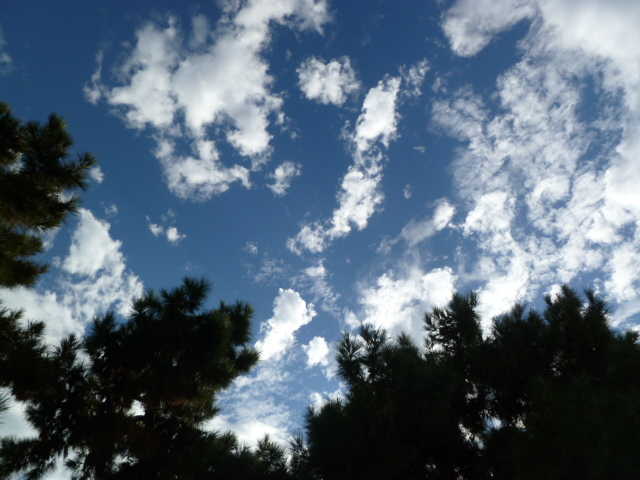 a0144811_1474276.jpg