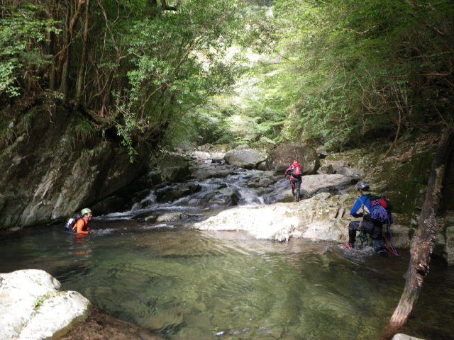 d0006512_23123785.jpg