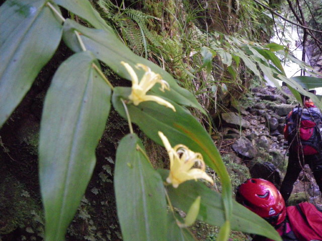 d0006512_2313127.jpg