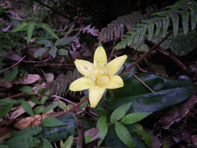 d0006512_23175916.jpg