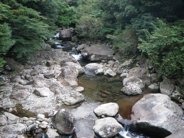 d0006512_2352513.jpg