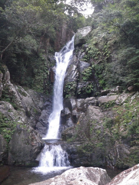 d0006512_2355518.jpg