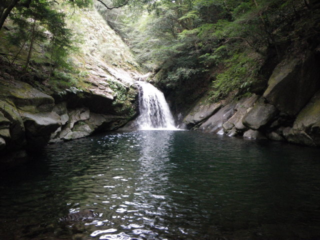 d0006512_238646.jpg