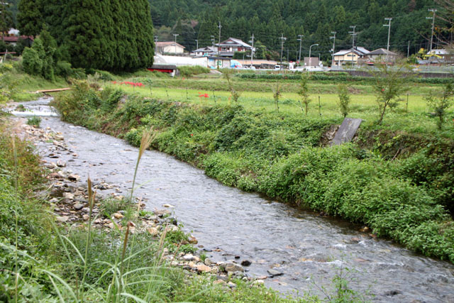 静原　彼岸花_e0048413_2174366.jpg