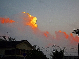 c0203514_1913742.jpg
