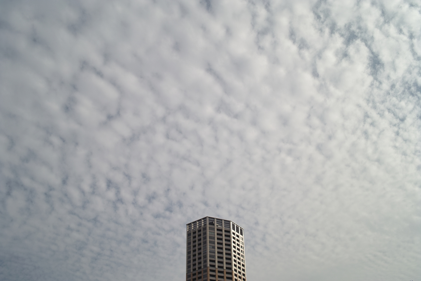 c0213117_0502093.jpg
