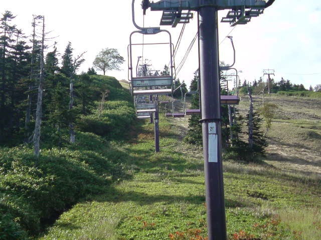 c0213619_0133897.jpg