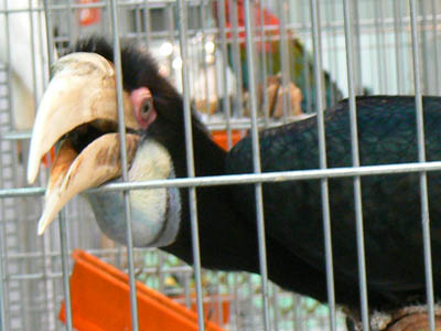 e0148120_14327.jpg