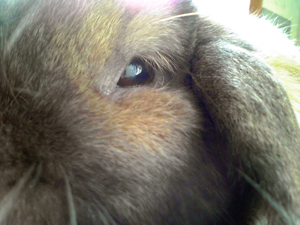 f0228030_1555886.jpg