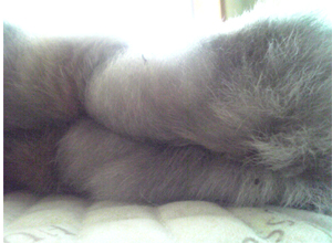 f0228030_1564132.jpg