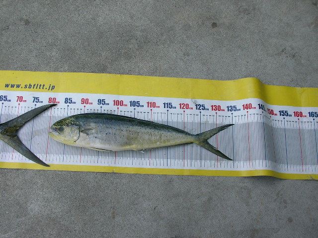 a0132631_12554048.jpg