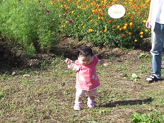 b0041532_20385058.jpg