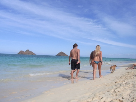 Lanikai Beach 2010_a0148638_21555617.jpg