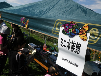 せたがや水辺の楽校 「移動水族館 in 多摩川であそぼう」_f0196649_1840476.jpg