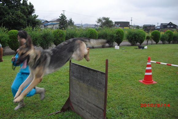 最終回　みんなを楽しませることが僕の喜び！_b0198051_2331095.jpg