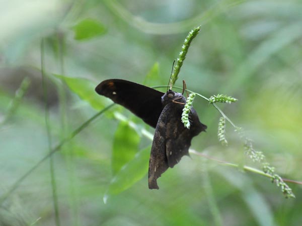 c0045352_215883.jpg