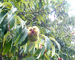 争奪戦_d0050155_844188.jpg