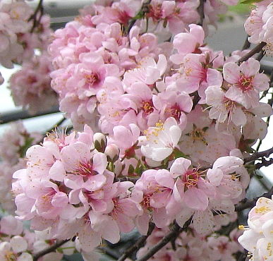 c0129558_13104.jpg