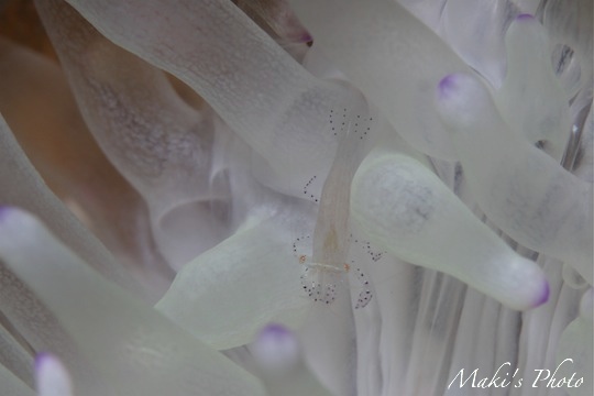 2010.09.28 Tue. みなべ・田辺_e0158261_7283699.jpg