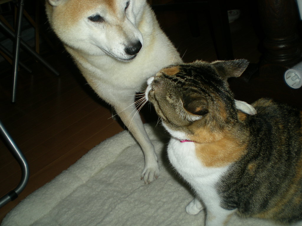 2010年9月30日(木)愛ちゃんのバイオリズム!_f0060461_9434183.jpg