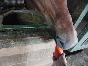 f0196665_04091.jpg