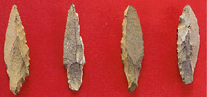 f0215268_20131392.gif