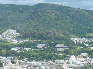 旅日記-19 「京都タワー」_e0033570_21535877.jpg