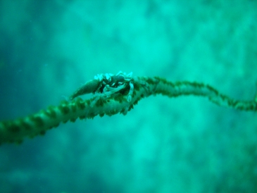 c0039073_19211681.jpg