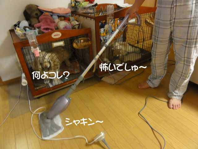 f0218182_12541647.jpg