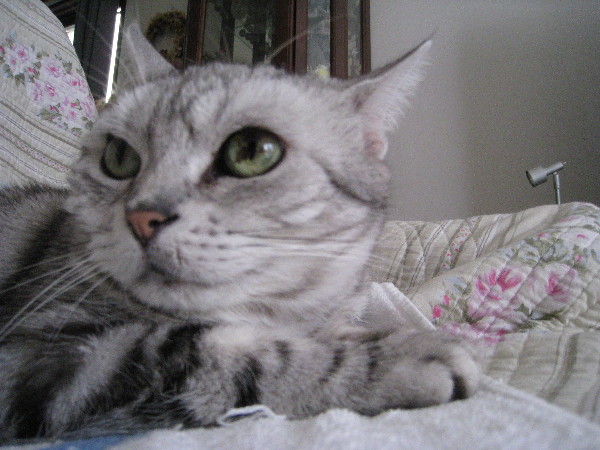 c0132387_22285196.jpg