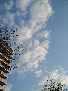 10分で。。。_d0091994_21341669.jpg