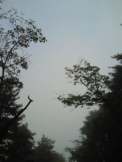 10分で。。。_d0091994_21344596.jpg