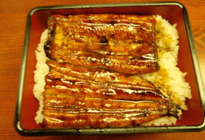 丼はアナタを育てる_e0077899_10214941.jpg