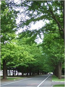 お散歩♪♪_b0067302_223897.jpg