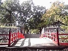 f0055803_1239640.jpg