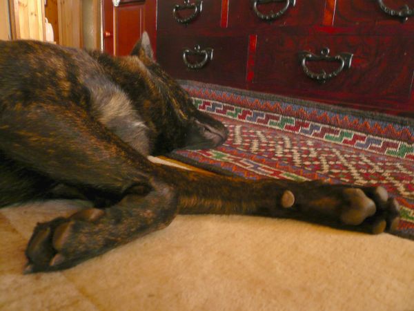 f0220504_10362233.jpg