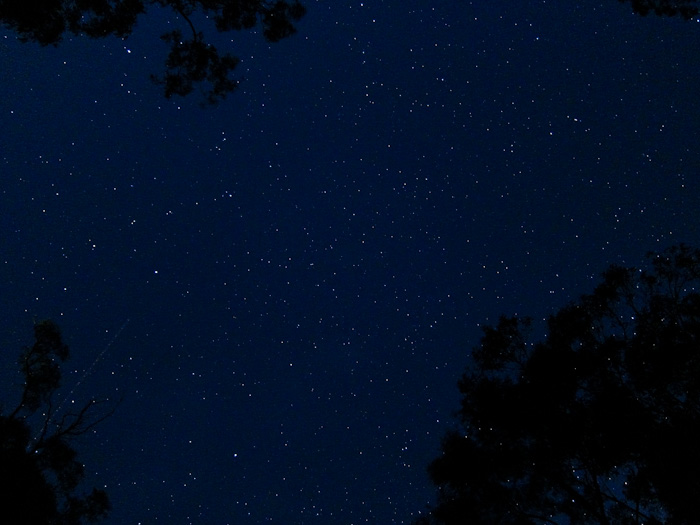 c0016905_23314559.jpg